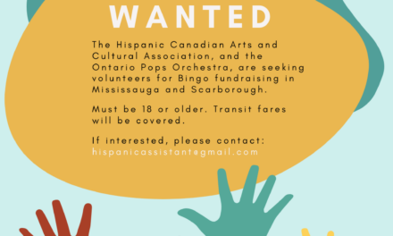 Volunteers Wanted: Bingo Fundraising