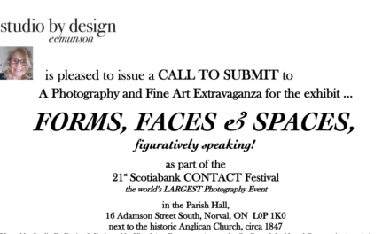 CALL FOR SUBMISSIONS: Forms, Faces & Spaces Photography and Fine Art