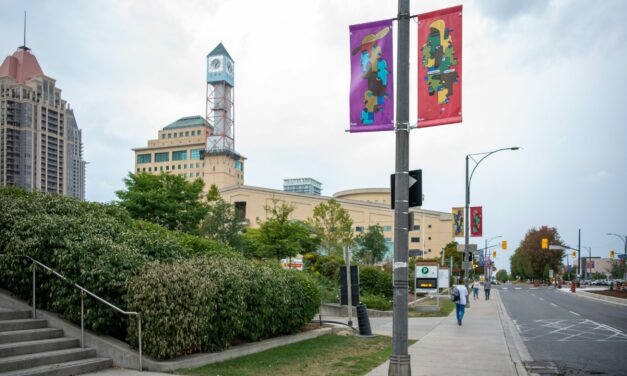 Call to Emerging Artists: Public Art Banner Program – City of Mississauga